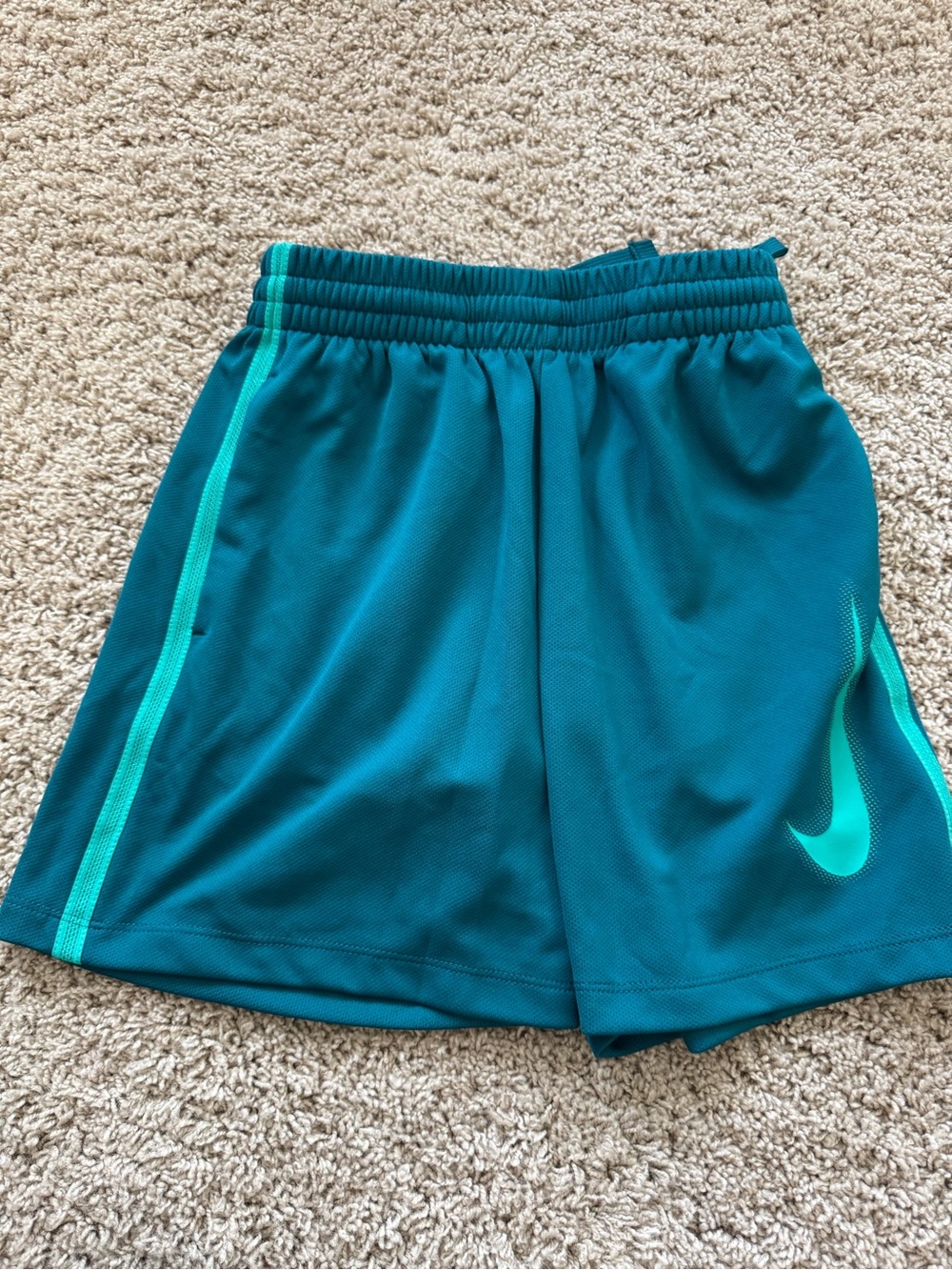 Nike Kids Teal and Turquoise Athletic Shorts